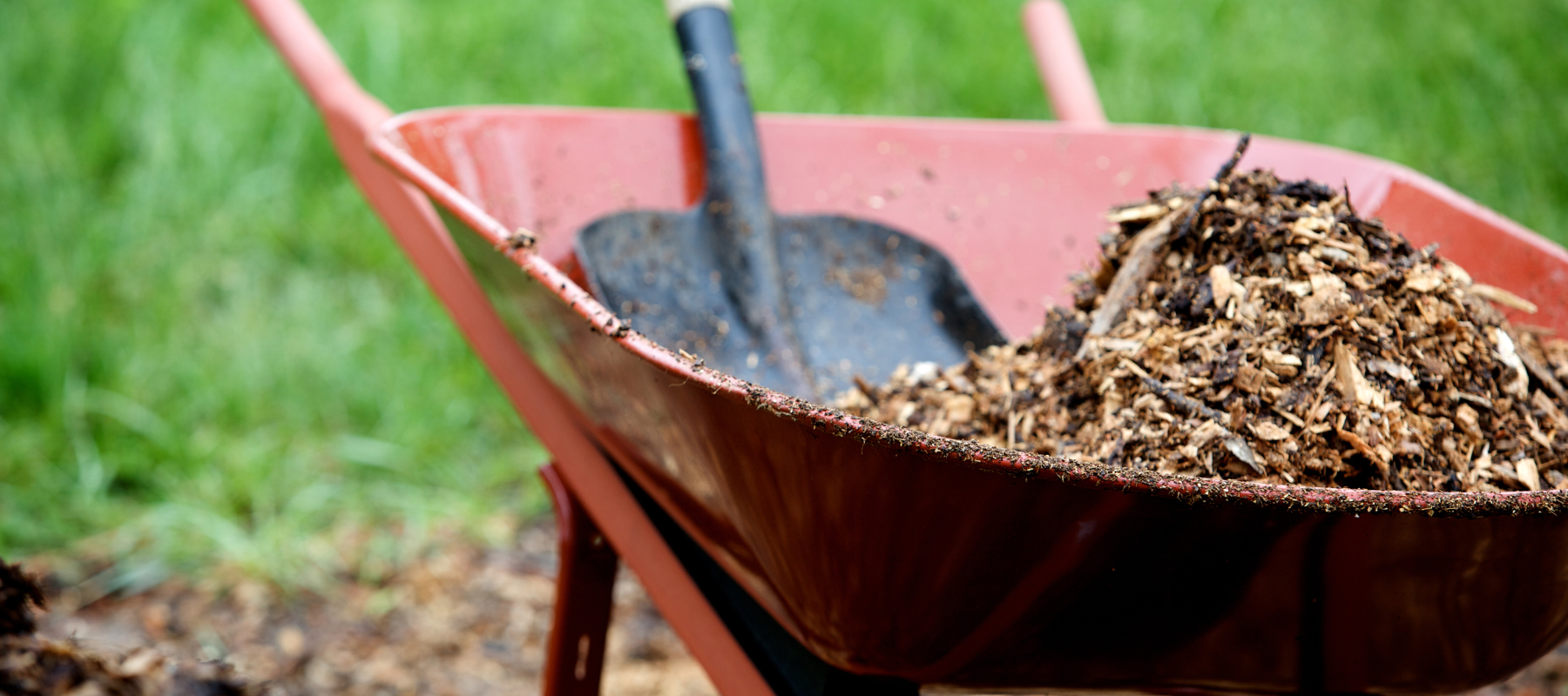 Mulch and a shovel in a wheelbarrow